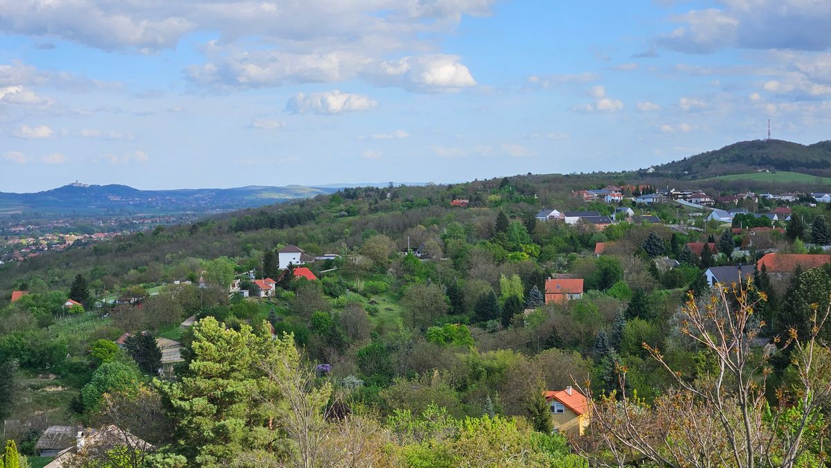 kirándulás