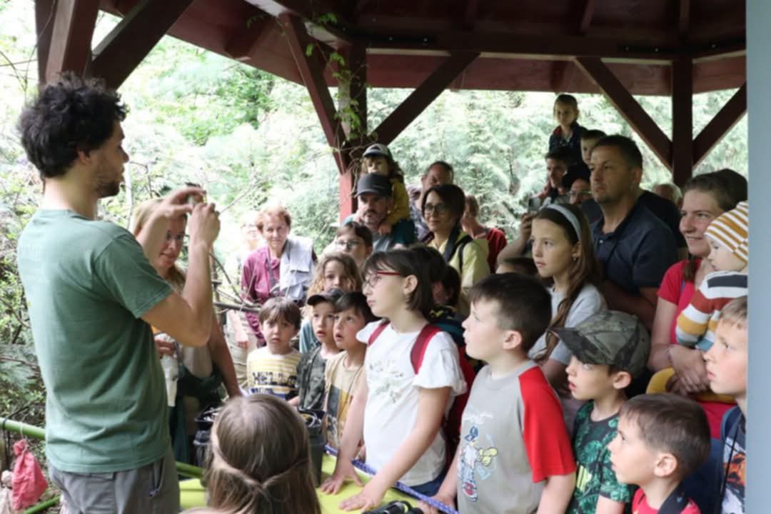 Madarak és fák napja, arborétum, pannonhalma, madárgyűrűzés, madárodú