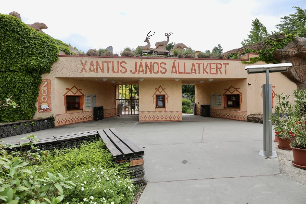 győri állatkert