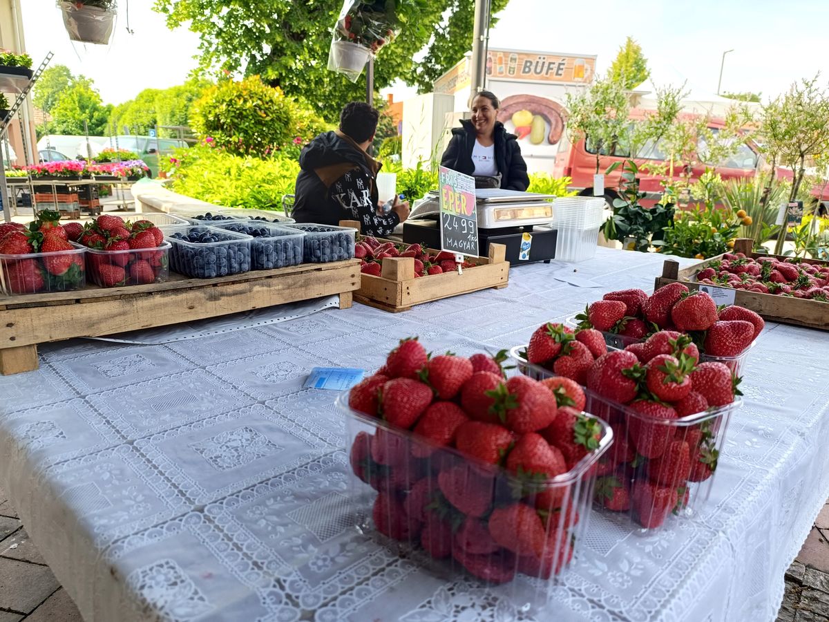 Eperdömping a mosoni piacon: már olcsóbb, mint múlt héten