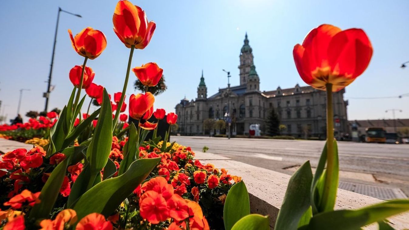 Virágos városunk, Győr