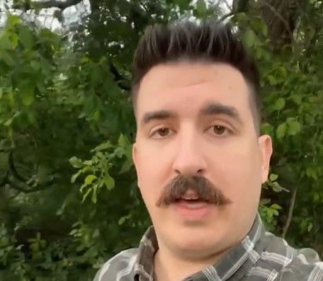 szürke farkas Bódi Ábel