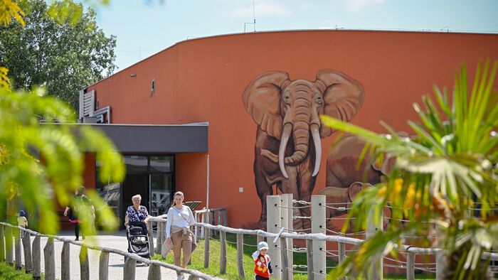 Két és fél hónap után újranyitott a győri állatkert