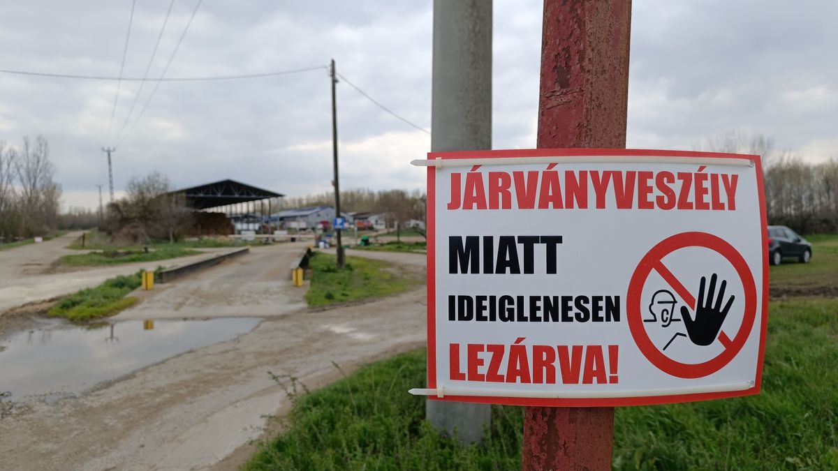 700 új állattal indulna újból a darnózseli telep