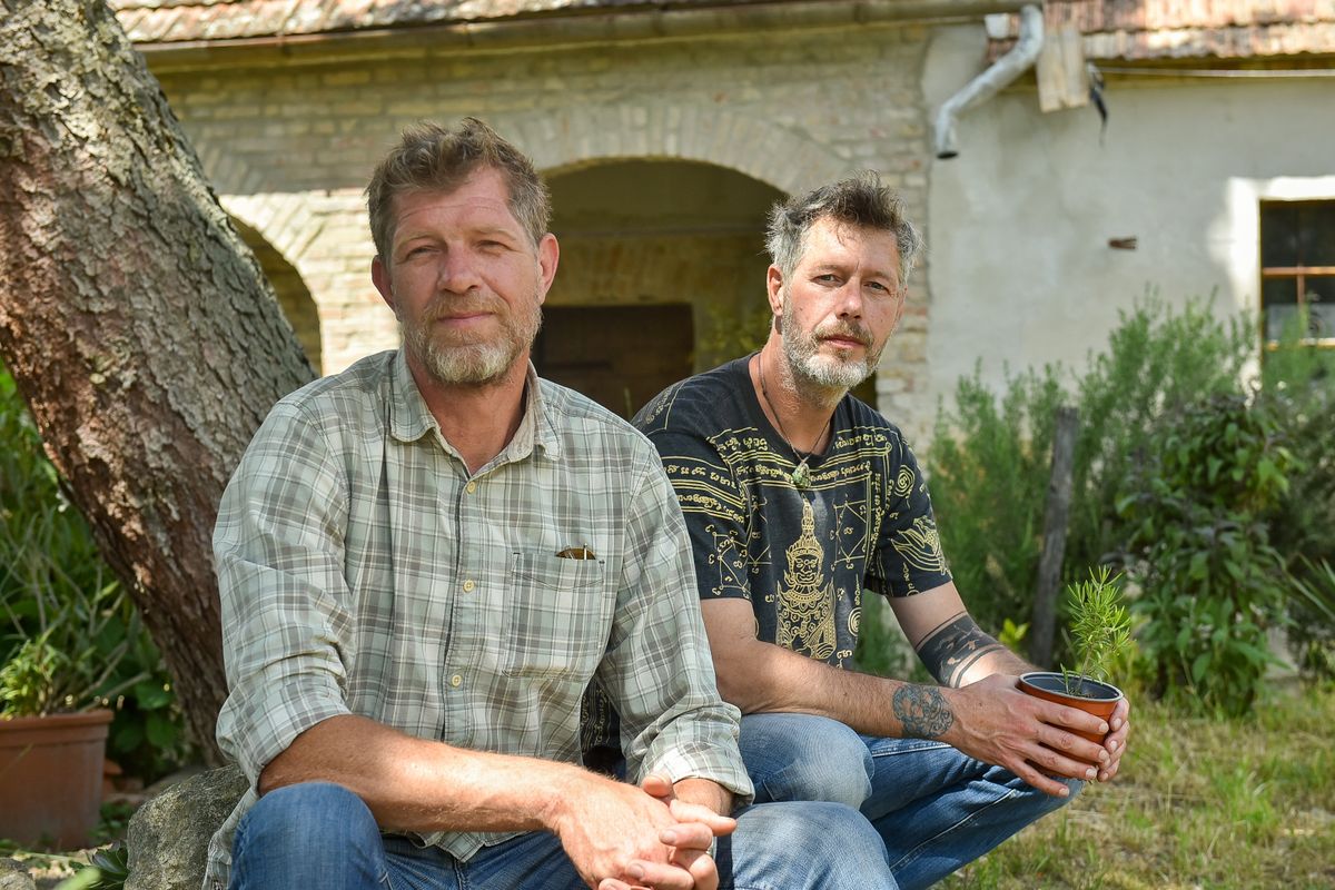 Kollár Titi, Pápai Szabolcs, kajárpéc, mediterrán, növény, mandulafenyő, olajfa, füge, gránátalma, dunakapu tér