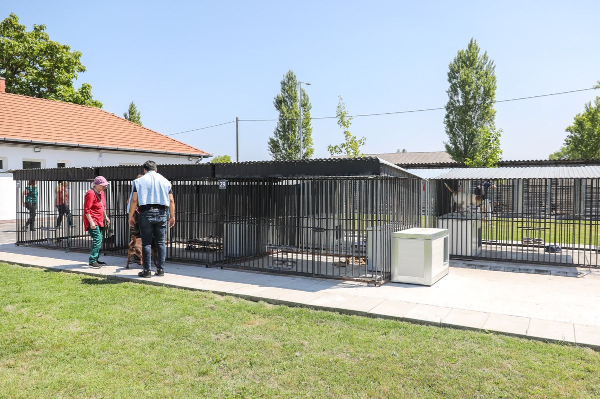 Győri Gyepmesteri Telep