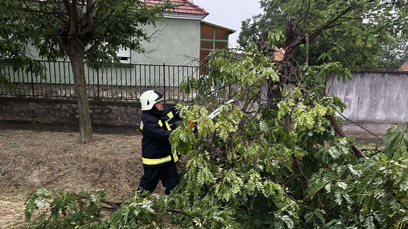 Tűzoltásnak indult, nemzetközi tűzoltó találkozóvá alakult