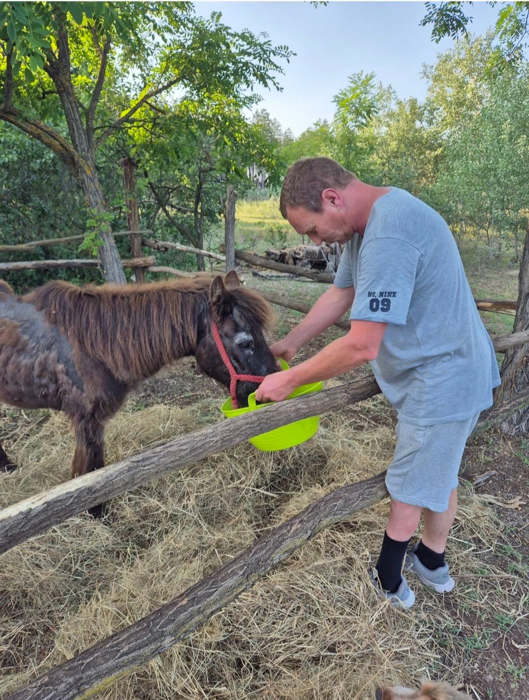 szamárfarm