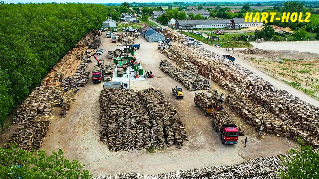Hart-Holz Kft. – Több mint 25 éve a tűzifa megbízható forrása Győrben is