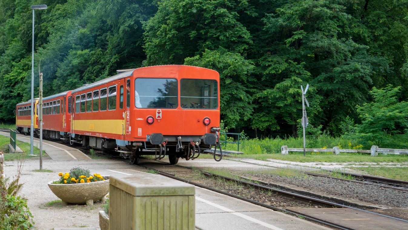 Kidőlt fának ütközött a vonat Bakonyszentlászló és Vinye között