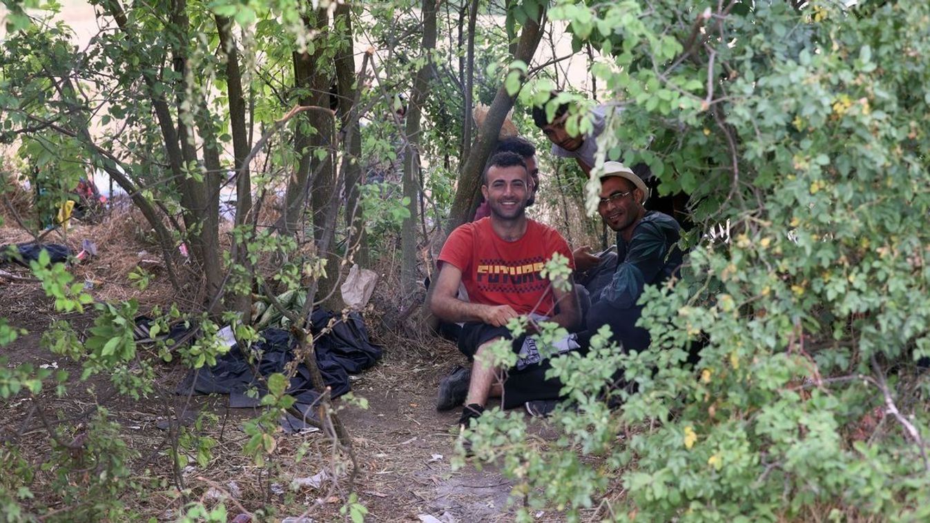 Új taktikát választottak a migránsok a magyar határnál