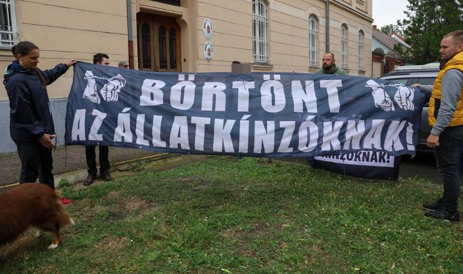 állatkínzás horrortanyák 
