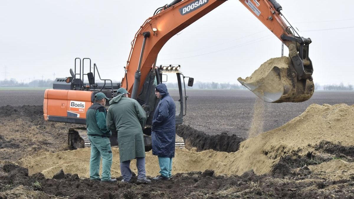 Hatástanulmány: a Csemeztanyán elföldelt háromezer szarvasmarha utóéletéről