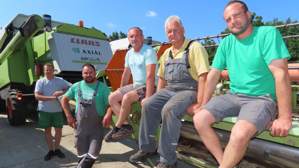 Az aratás az időjárás miatt csúszik néhány napot.