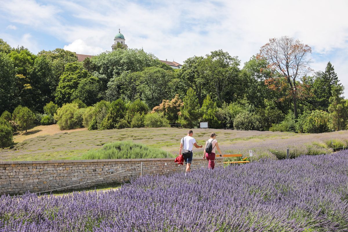arborétum