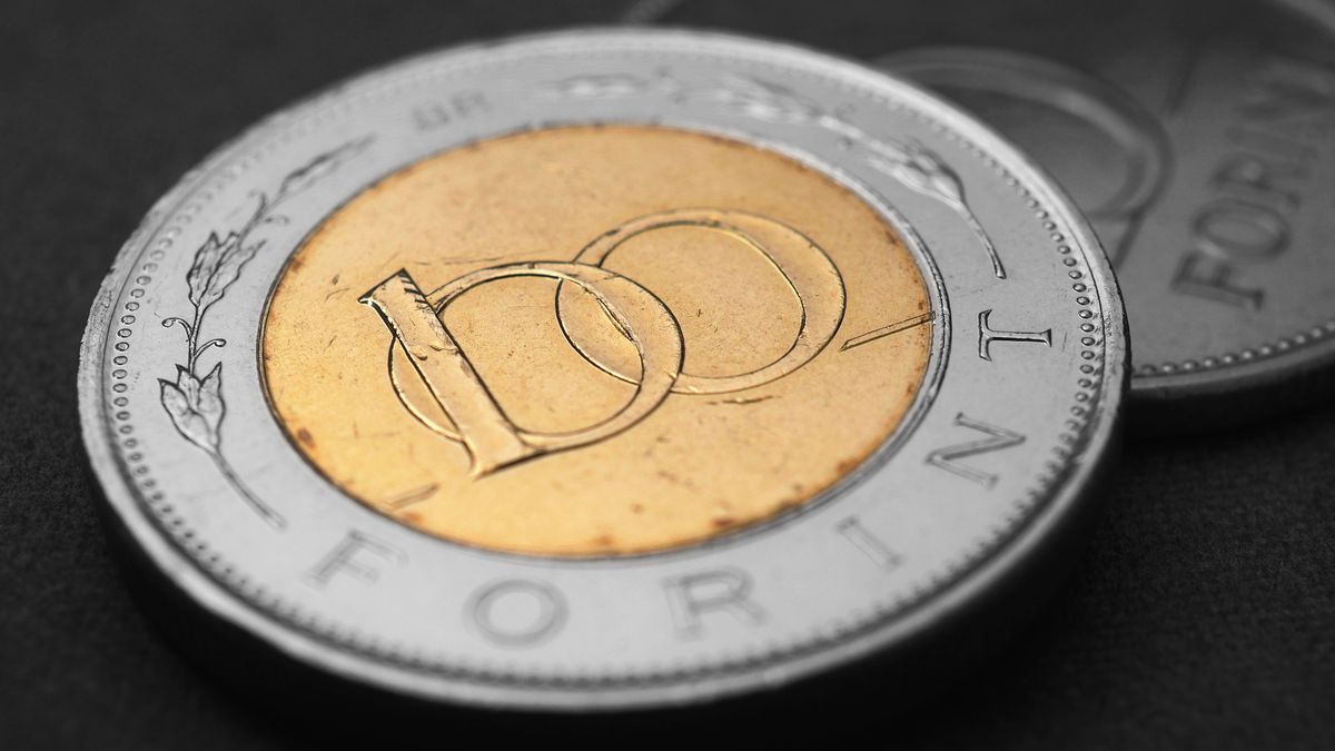 Nagy László emlékérme Magyar Nemzeti Bank