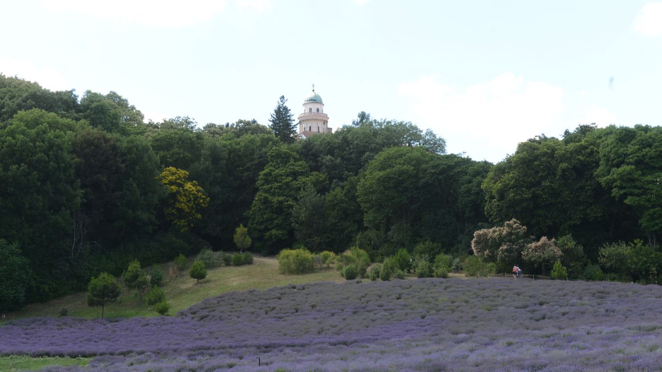 Pannonhalma hétköznapi hőseit keresik