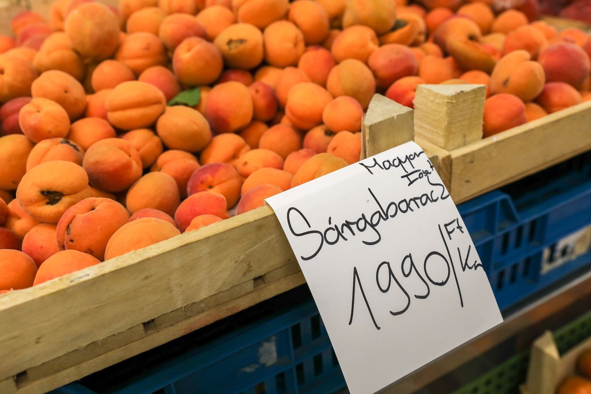 sárgabarack, kajszi, vásárcsarnok, lekvár