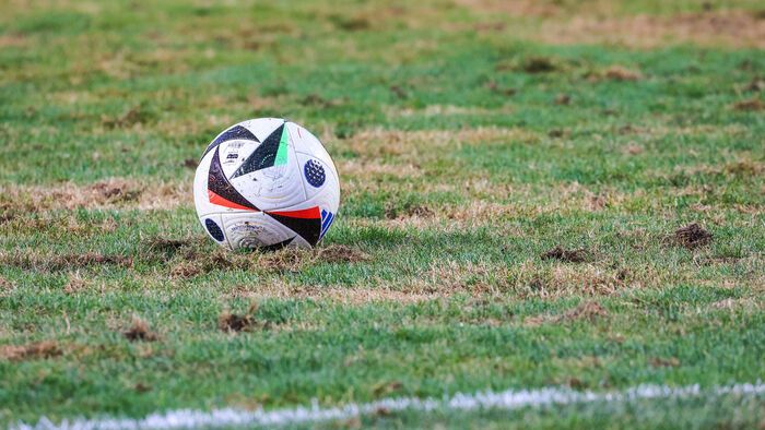 Gomba támadta meg az ETO stadionjának gyepét