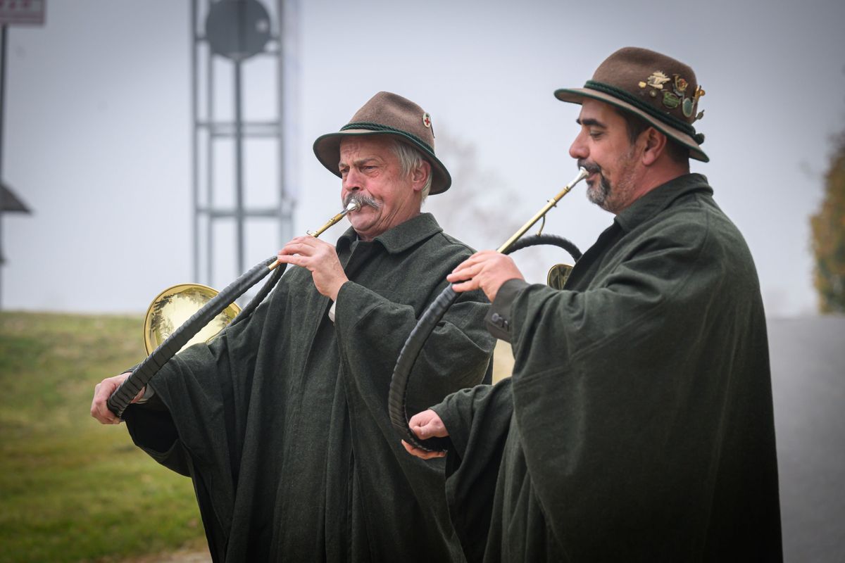 Akadémiai Emlékerdőerdő hársfái a tudományos akadémia megalapításának ...