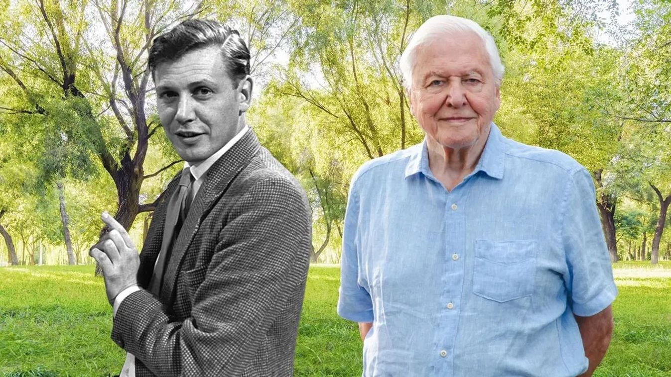 Százéves David Attenborough