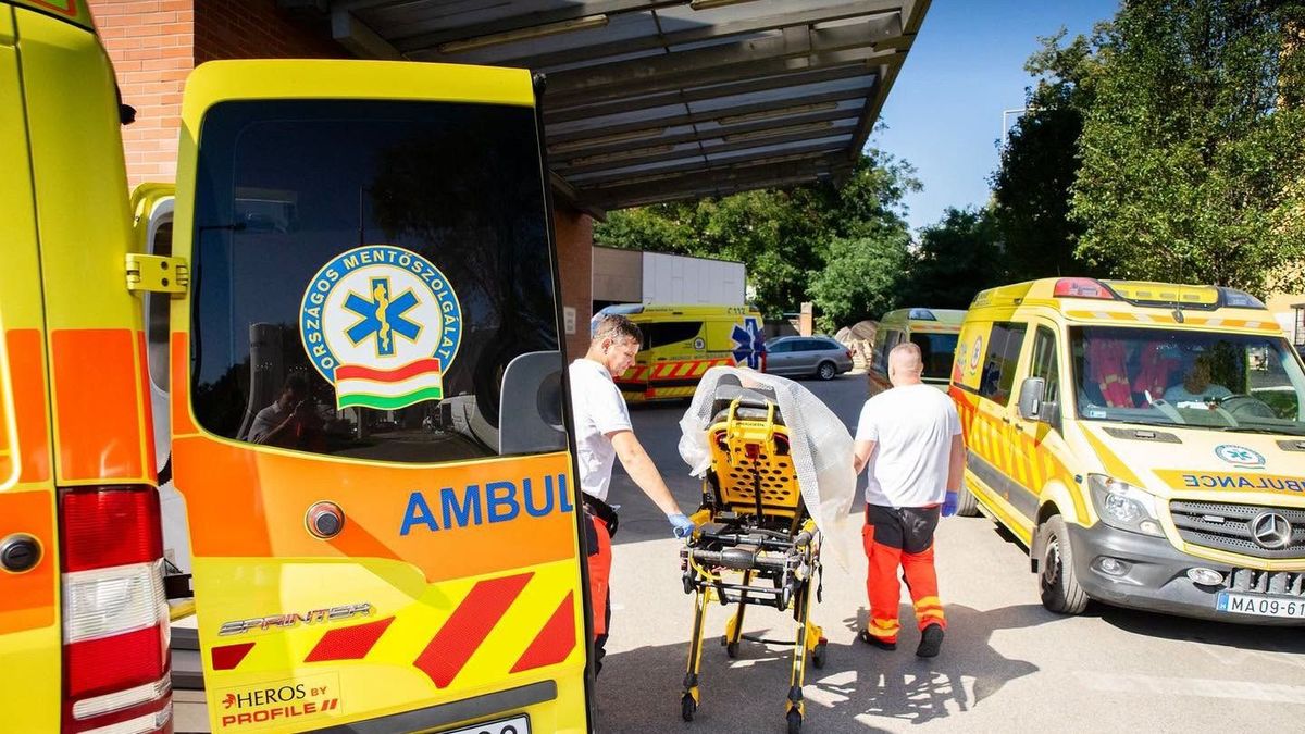 Hét éves unoka segített megmenteni a nagymama életét Győr-Moson-Sopronban