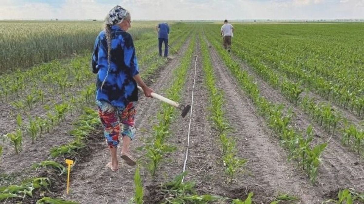 Kiderült melyik vármegye Magyarország agrárközpontja - Győr-Moson-Sopron is ott van egy statisztikai lista élén