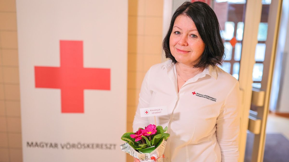Nyáron minden csepp vér számít, most minden véradóra szükség van