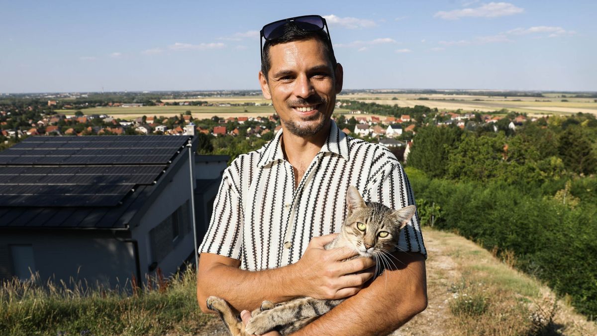 Méreg pusztítja a macskákat Győrújbaráton – Chino már jól van, de hét társa elpusztult