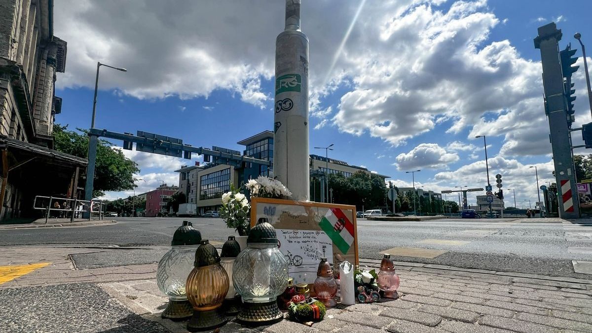 Szerdán döntenek a Szent István úti gázoló letartóztatásáról