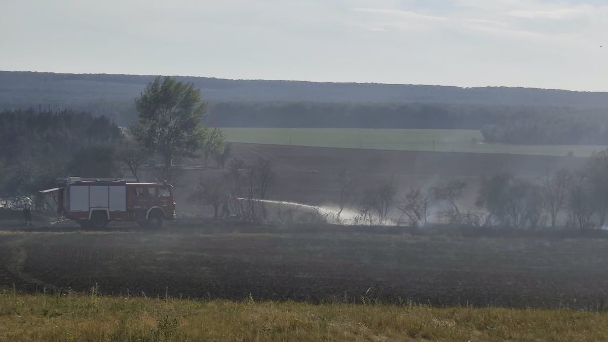 A tűz után megszólalt a Fertő–Hanság Nemzeti Park: ezt tudni a károkról