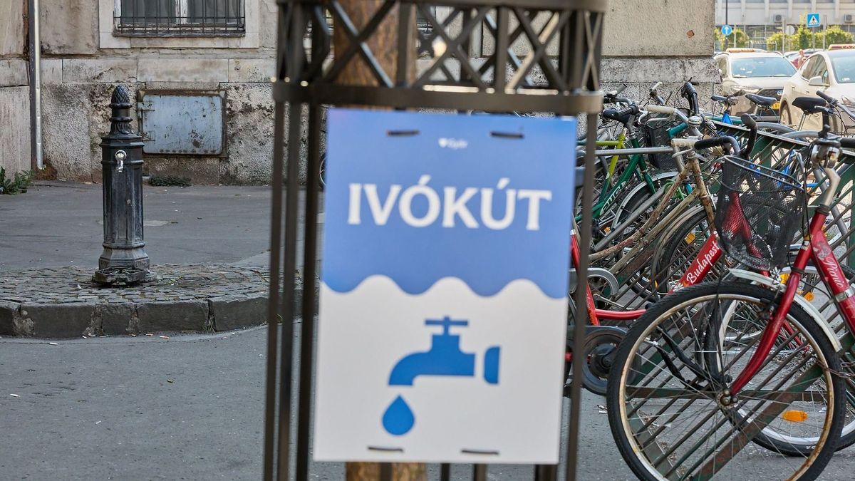 Ivókút és párakapu tájékoztató plakátokat és táblákat helyeztek ki Győrben a vasútállomáson és környékén