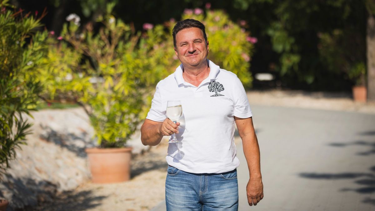 Három aranyéremmel tért haza a TÓTHBORBIRTOK a Berliner Wine Trophyról