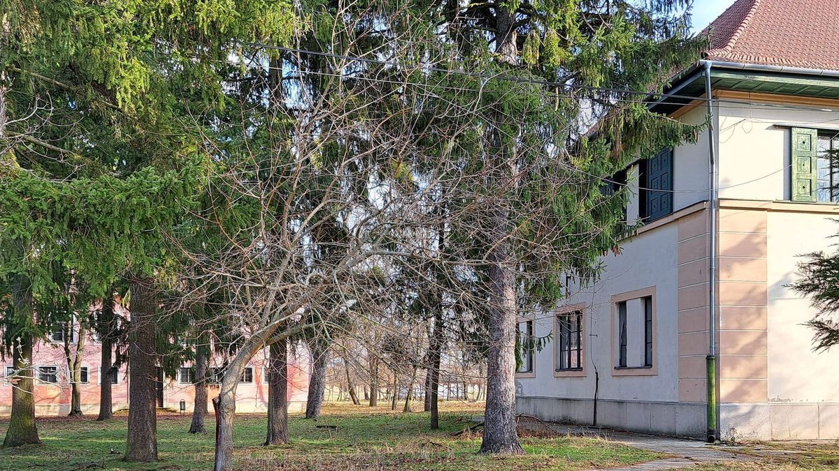 400-nál is több diák kezdi Csermajorban a tanévet a kapuvári katolikus iskolából