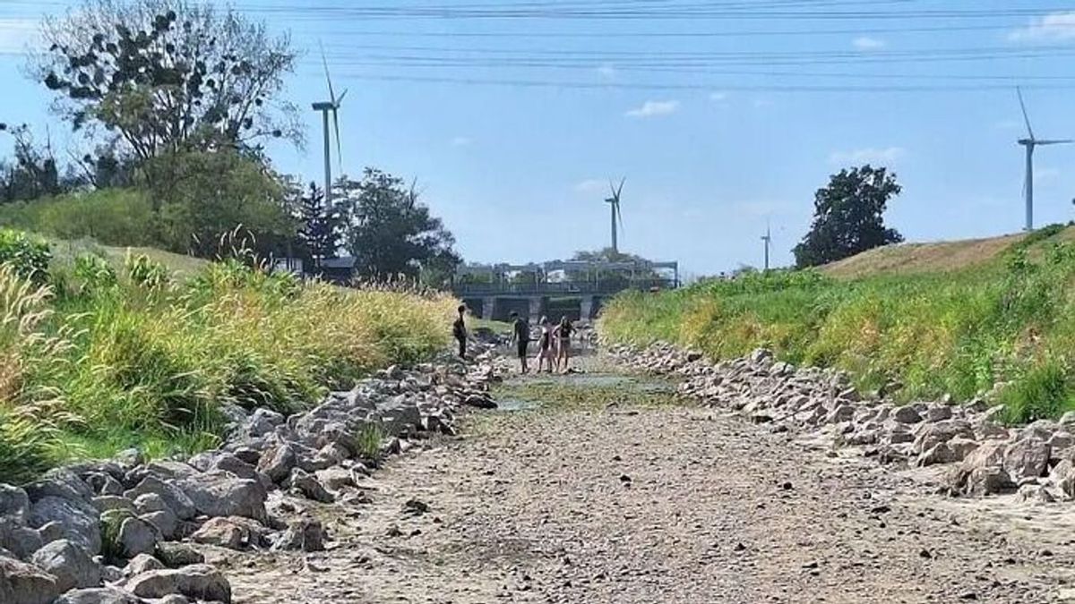 Mindent elpusztít az aszály, 160 milliméteres vízhiány alakult ki Győrnél