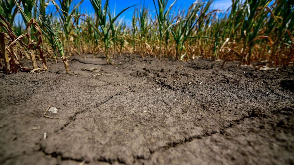 Döbbenetes a különbség: Győrben csak 2,4 milliméter eső esett júliusban