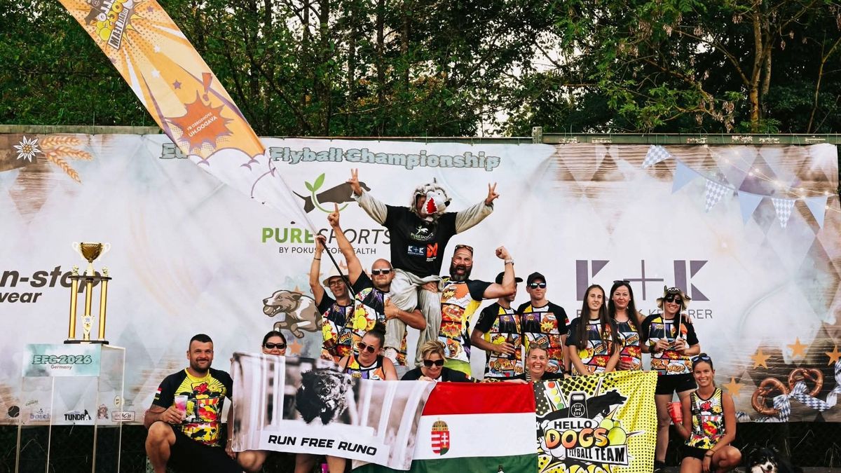 Flyball, a kutyák Forma–1-e: Európa élvonalában a magyarok - fotók, videó