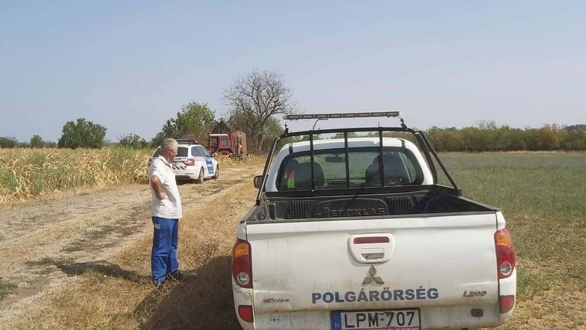 Megszólalt a rendőrség a kunmadarasi szántóföldi tragédia ügyében