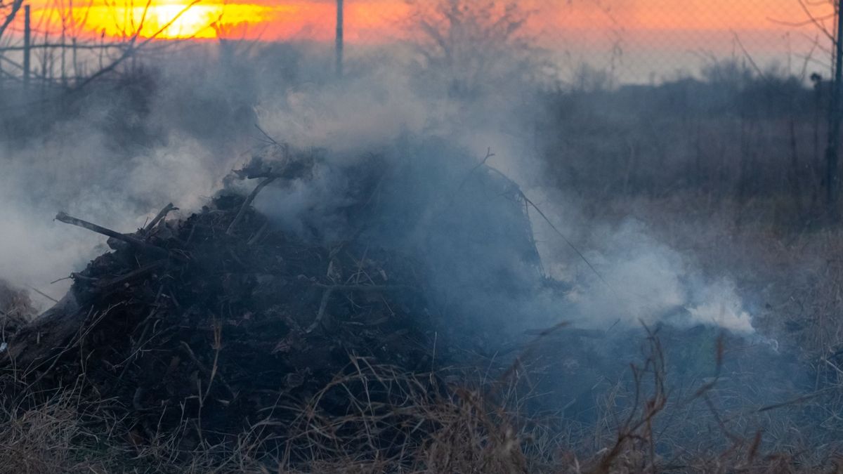 Kigyulladt egy komposztáló és egy fenyőfa Nyúlon