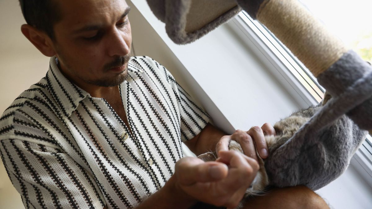 Patkányméreg pusztítja a macskákat Győrújbaráton – Az állatorvos válaszol