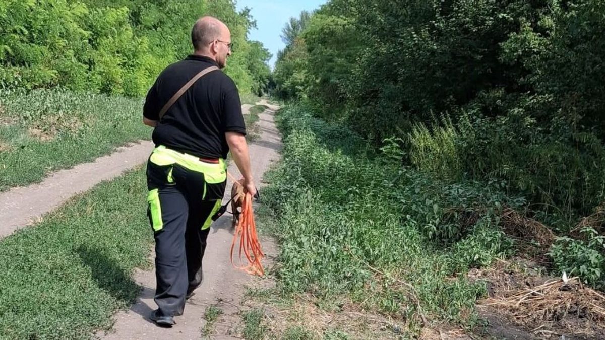 Felfüggesztették Gizi néni keresését, péntek óta nincs nyoma az idős asszonynak