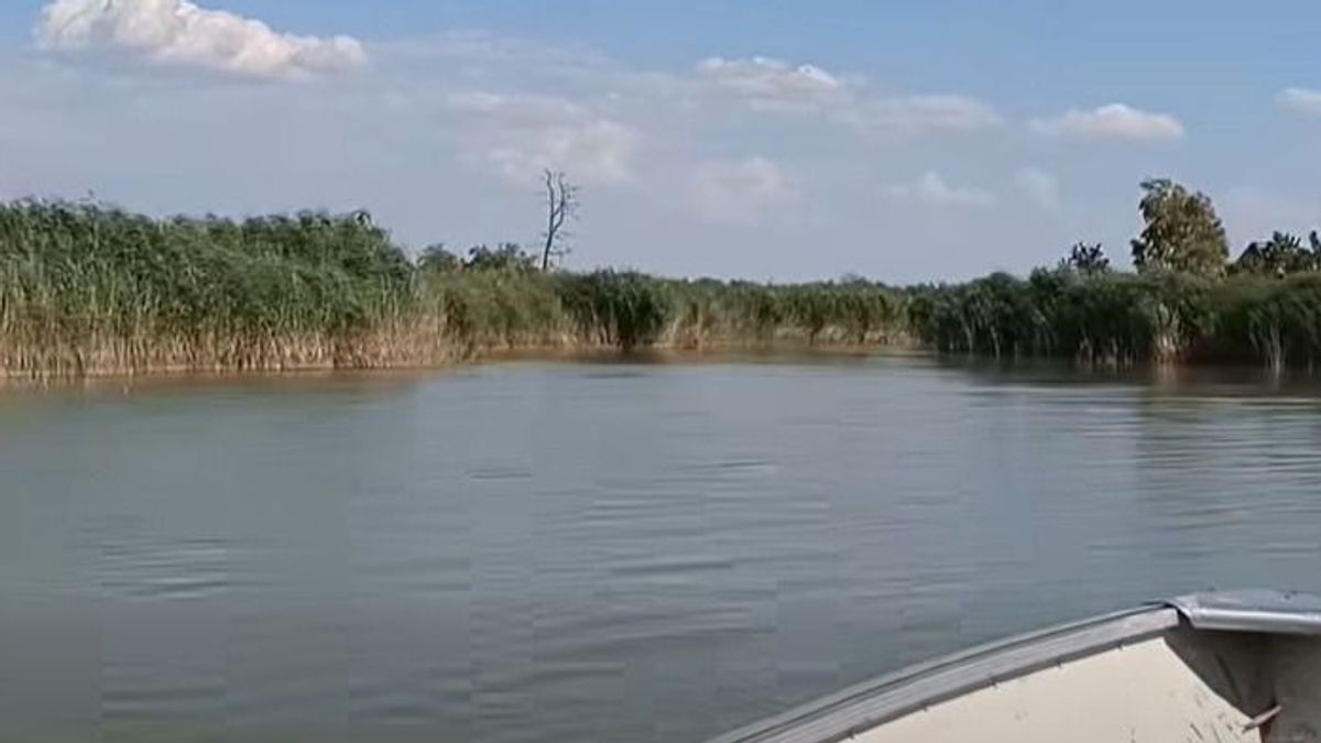 A csapadékhiány mindenhol, még a Fertő nádasain is fájóan látszik - videó