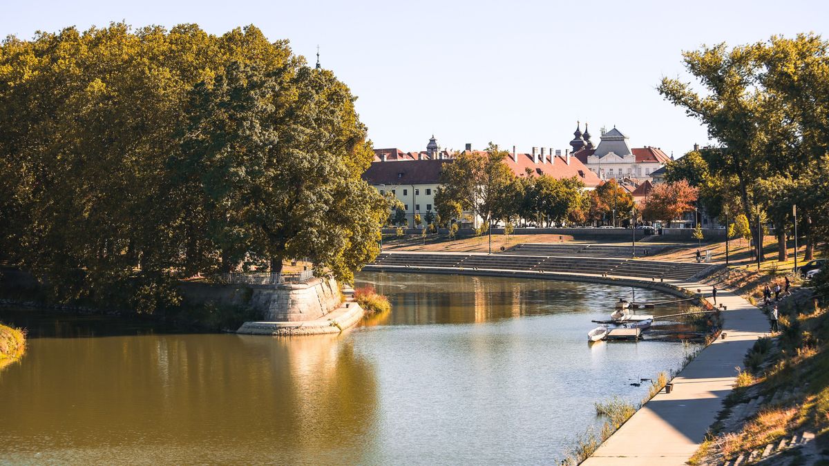 Sárguló fák, hulló levelek – ilyen az ősz Győrben - fotók