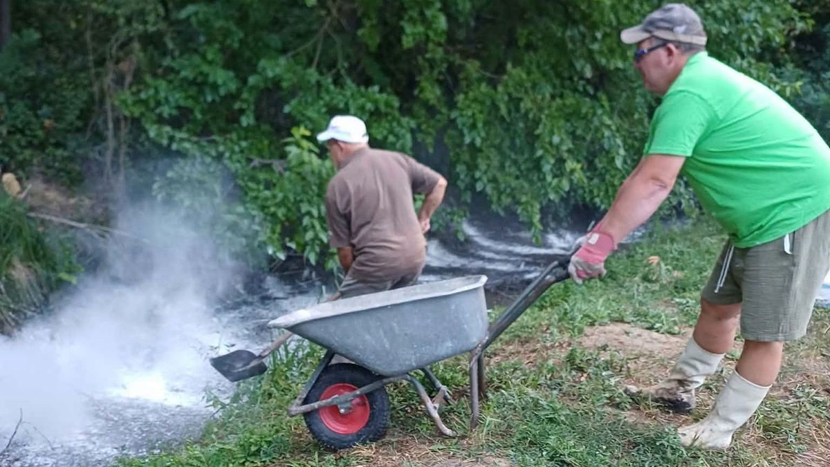 A Stettni-tó halállományát új módszerrel óvják