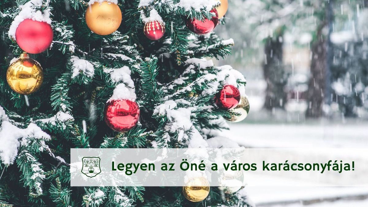 Keresik a város karácsonyfáját