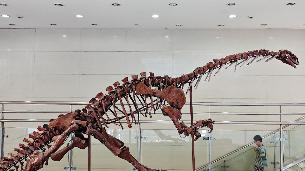 Óriási dinoszaurusz csontjai kerültek elő egy építkezésen – 120 millió éves titokra derült fény