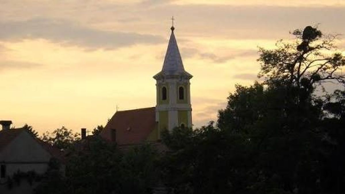 Falunapot rendeznek Kisfaludon, Tihanyi Tóth Csabával