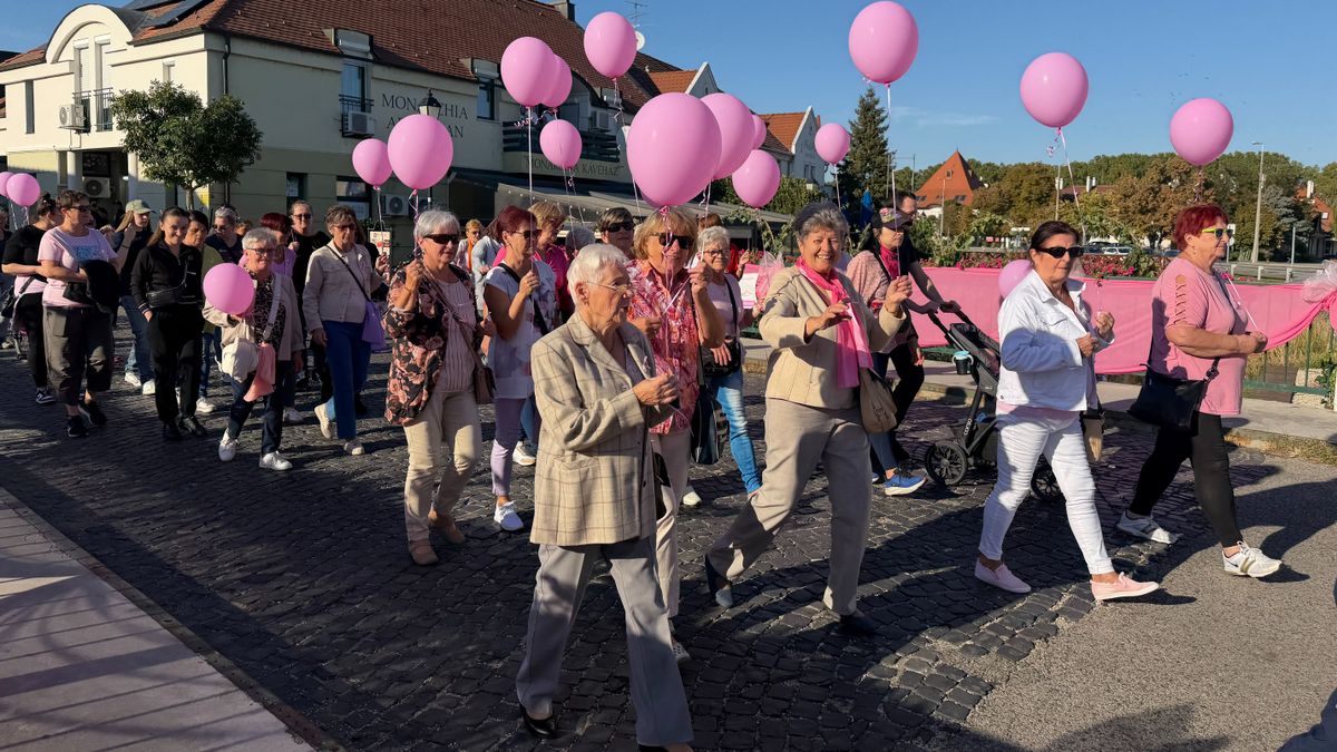 A mellrák elleni küzdelemért Lajta-hídi séta 16. alkalommal