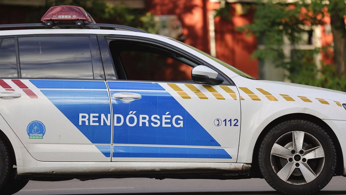 Felismeri ezt a nőt? Lopás miatt keresik a soproni rendőrök