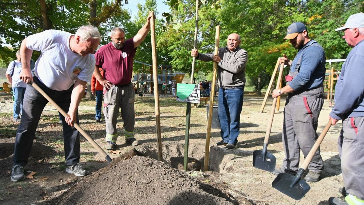 Emlékfát ültettek Győrben Monspart Sarolta tiszteletére - fotók, videó